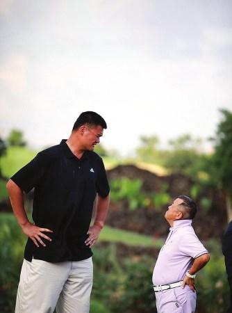 国球迷的情 国球迷的情