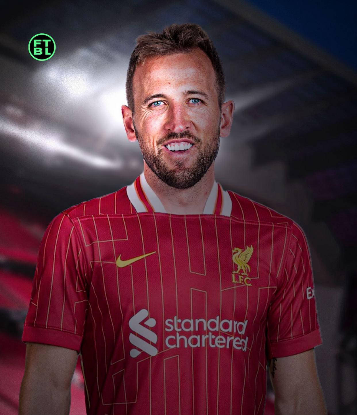 琴斯尼在欧 琴斯尼在欧